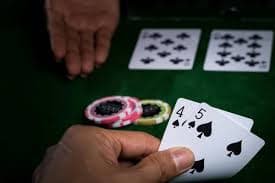 8800 casino